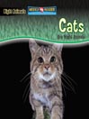 Cats Are Night Animals